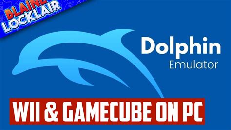 DOLPHIN TUTORIAL – EASY SETUP GUIDE FOR DOLPHIN .